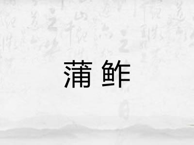 蒲鲊