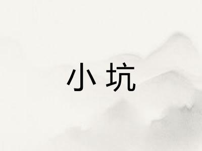 小坑 小坑