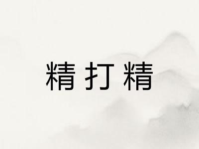 精打精 精打精