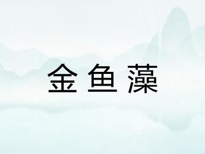 金鱼藻 金鱼藻