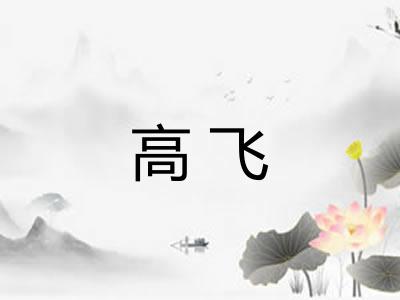 高飞