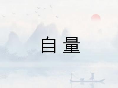 自量