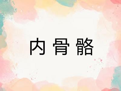 内骨骼 内骨骼
