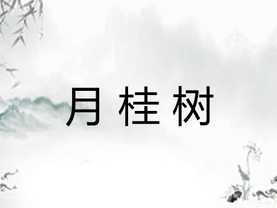 月桂树