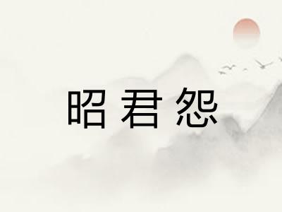 昭君怨