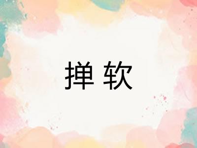 掸软