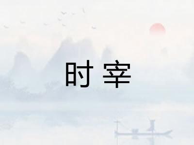 时宰
