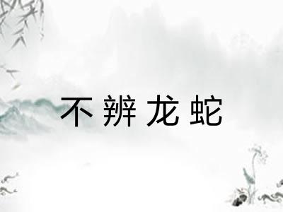 不辨龙蛇