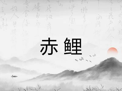 赤鲤