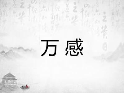 万感