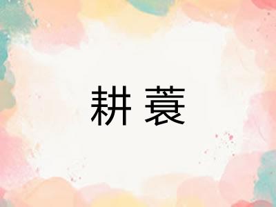 耕蓑