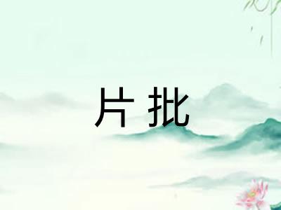 片批