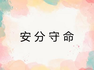 安分守命 安分守命