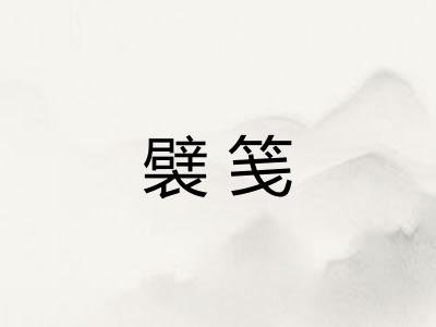 襞笺