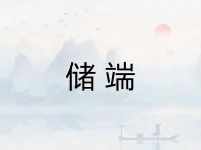 储端