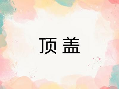 顶盖