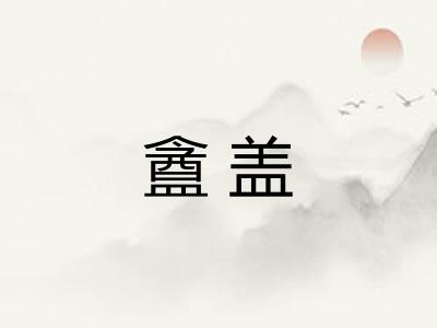 盦盖
