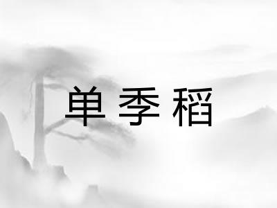 单季稻