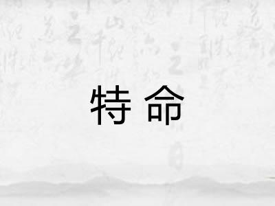 特命