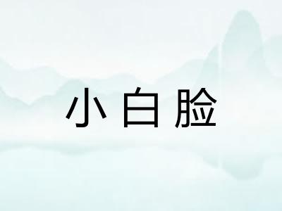小白脸