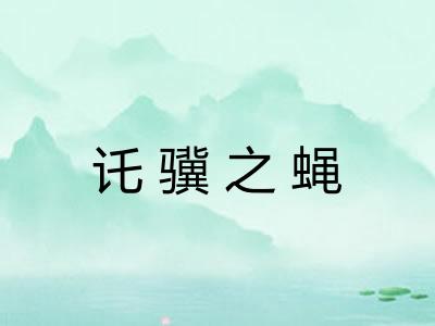 讬骥之蝇