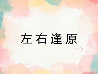 左右逢原