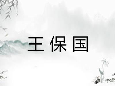 王保国