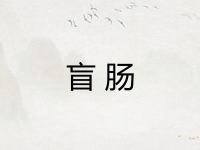盲肠