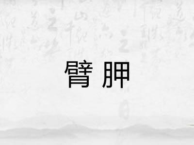 臂胛