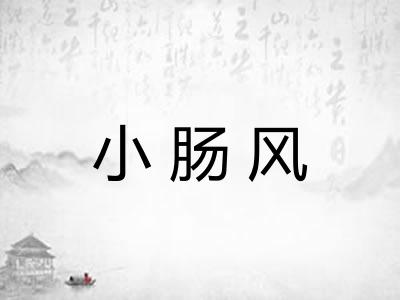 小肠风