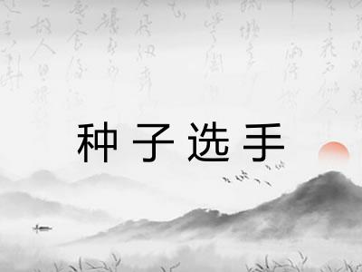 种子选手