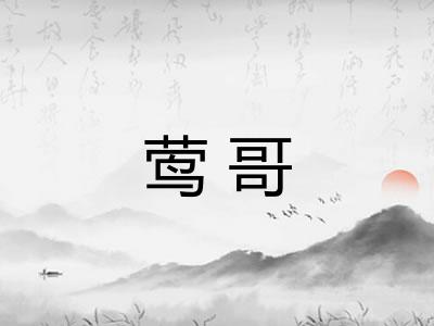 莺哥