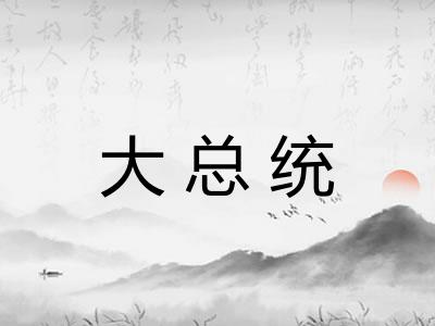 大总统 大总统
