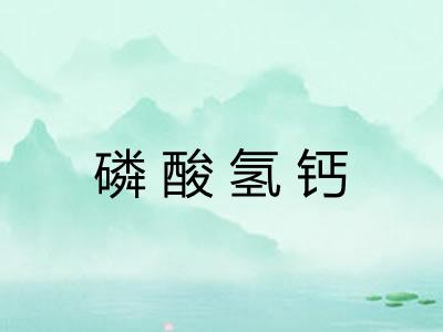 磷酸氢钙 磷酸氢钙