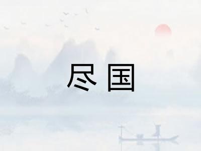 尽国