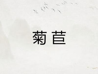 菊苣
