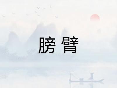 膀臂