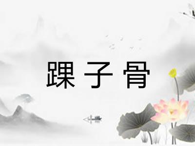踝子骨 踝子骨