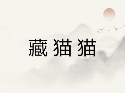 藏猫猫 藏猫猫