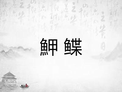 魻鲽