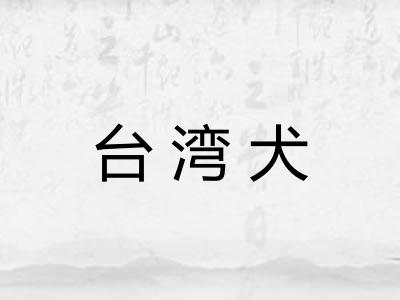 台湾犬