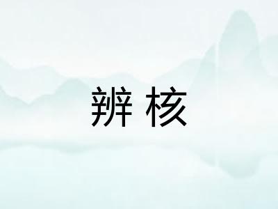 辨核