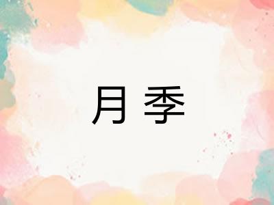 月季 月季