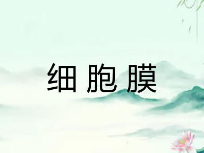 细胞膜 细胞膜