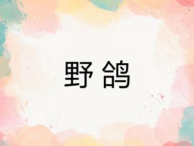 野鸽