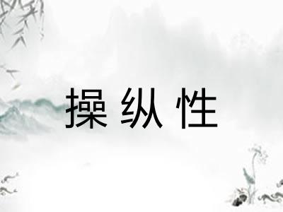 操纵性