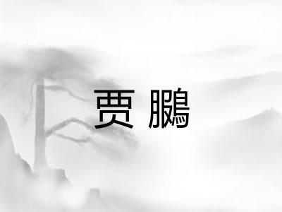 贾鵩