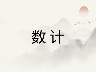 数计