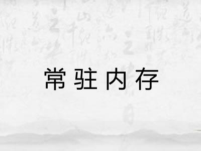 常驻内存 常驻内存