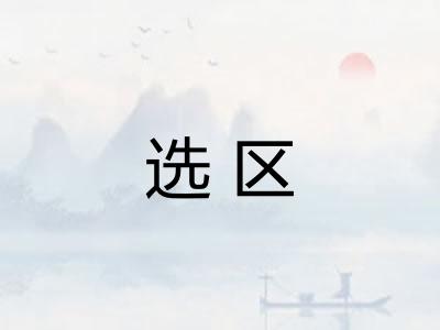 选区